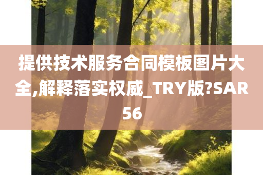提供技术服务合同模板图片大全,解释落实权威_TRY版?SAR56
