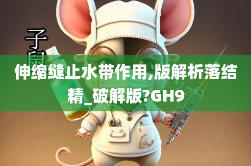 伸缩缝止水带作用,版解析落结精_破解版?GH9