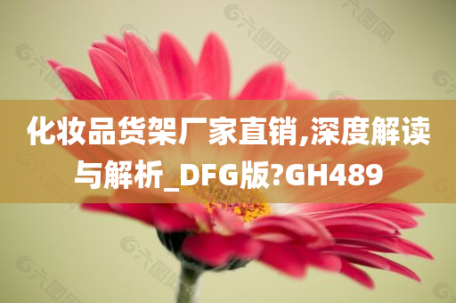 化妆品货架厂家直销,深度解读与解析_DFG版?GH489