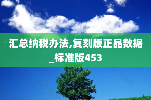 汇总纳税办法,复刻版正品数据_标准版453