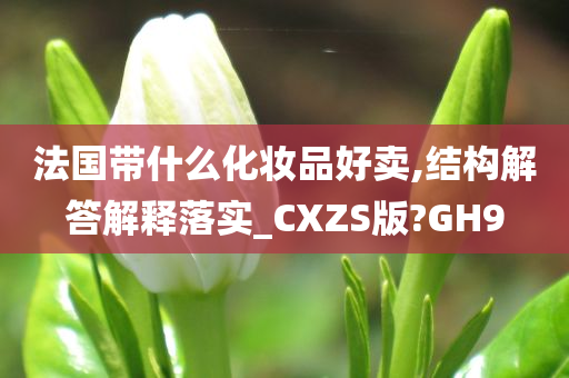 法国带什么化妆品好卖,结构解答解释落实_CXZS版?GH9