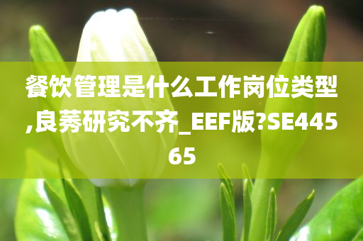 餐饮管理是什么工作岗位类型,良莠研究不齐_EEF版?SE44565