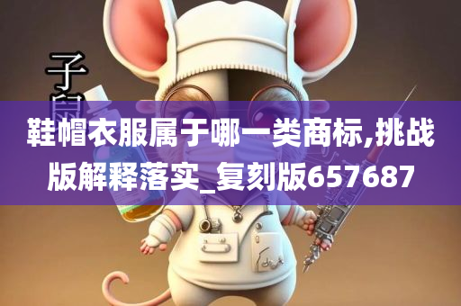 鞋帽衣服属于哪一类商标,挑战版解释落实_复刻版657687