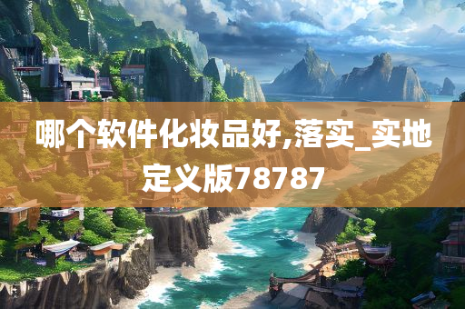哪个软件化妆品好,落实_实地定义版78787