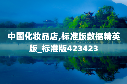 中国化妆品店,标准版数据精英版_标准版423423