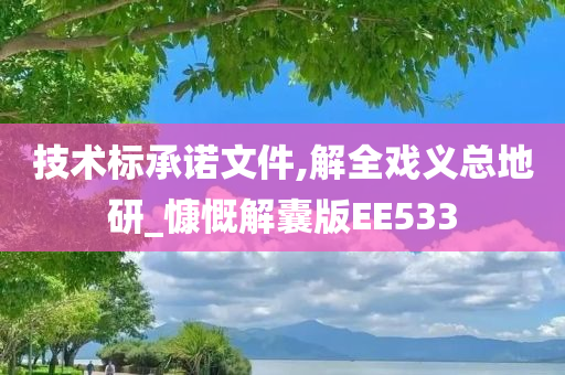 技术标承诺文件,解全戏义总地研_慷慨解囊版EE533