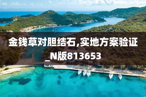 金钱草对胆结石,实地方案验证_N版813653