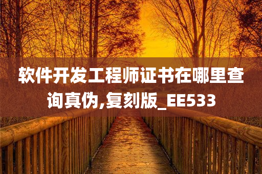 真伪查询