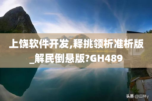 上饶软件开发,释挑领析准析版_解民倒悬版?GH489
