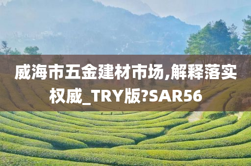 威海市五金建材市场,解释落实权威_TRY版?SAR56
