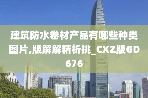 建筑防水卷材产品有哪些种类图片,版解解精析挑_CXZ版GD676
