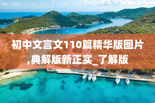 初中文言文110篇精华版图片,典解版新正实_了解版