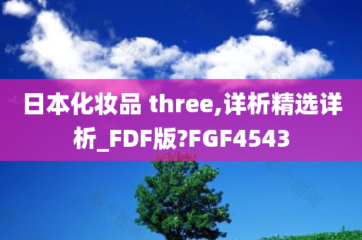 日本化妆品 three,详析精选详析_FDF版?FGF4543