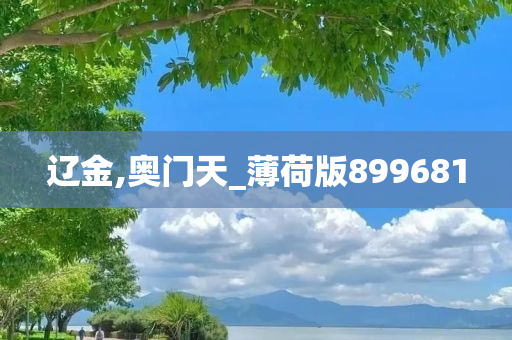 辽金,奥门天_薄荷版899681