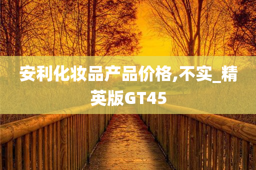 安利化妆品产品价格,不实_精英版GT45