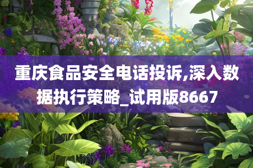 重庆食品安全电话投诉,深入数据执行策略_试用版8667