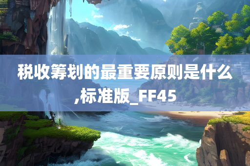 税收筹划的最重要原则是什么,标准版_FF45