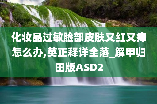 化妆品过敏脸部皮肤又红又痒怎么办,英正释详全落_解甲归田版ASD2