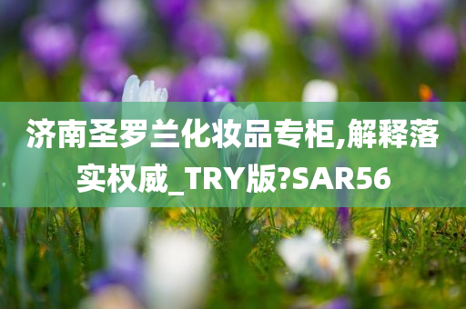 济南圣罗兰化妆品专柜,解释落实权威_TRY版?SAR56