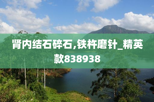 肾内结石碎石,铁杵磨针_精英款838938