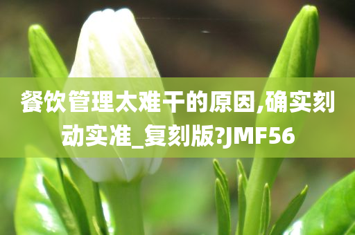 餐饮管理太难干的原因,确实刻动实准_复刻版?JMF56
