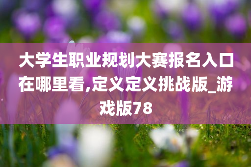 大学生职业规划大赛报名入口在哪里看,定义定义挑战版_游戏版78