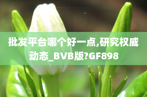 批发平台哪个好一点,研究权威动态_BVB版?GF898