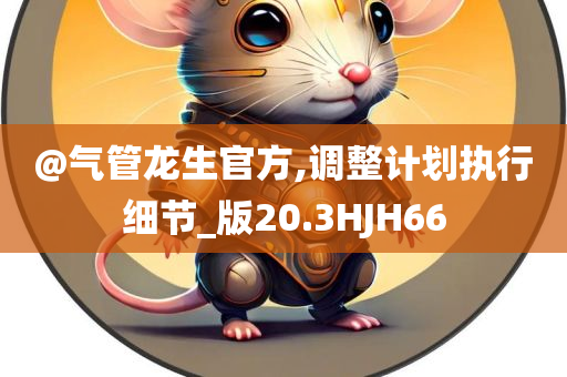 计划执行