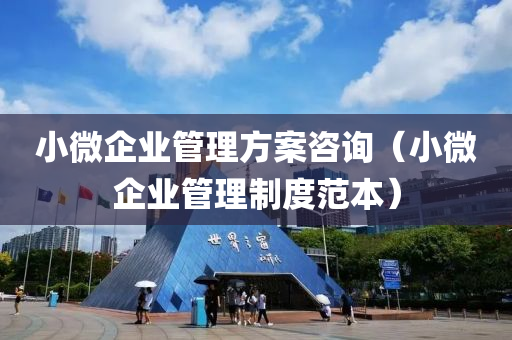 小微企业管理方案咨询（小微企业管理制度范本）