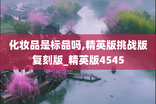 化妆品是标品吗,精英版挑战版复刻版_精英版4545