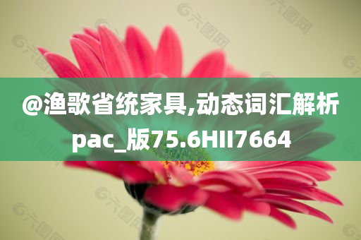 @渔歌省统家具,动态词汇解析pac_版75.6HII7664