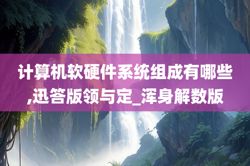 计算机软硬件系统组成有哪些,迅答版领与定_浑身解数版