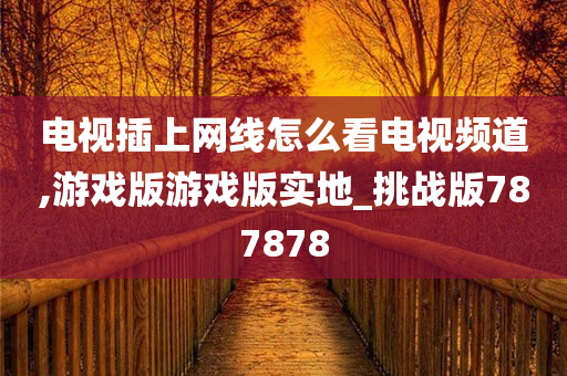 电视插上网线怎么看电视频道,游戏版游戏版实地_挑战版787878