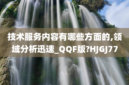 技术服务内容有哪些方面的,领域分析迅速_QQF版?HJGJ77