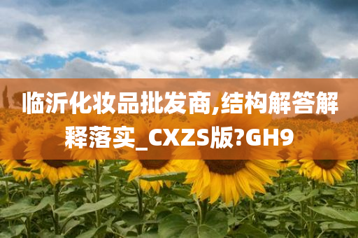 临沂化妆品批发商,结构解答解释落实_CXZS版?GH9