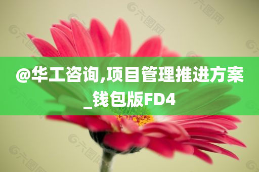 @华工咨询,项目管理推进方案_钱包版FD4