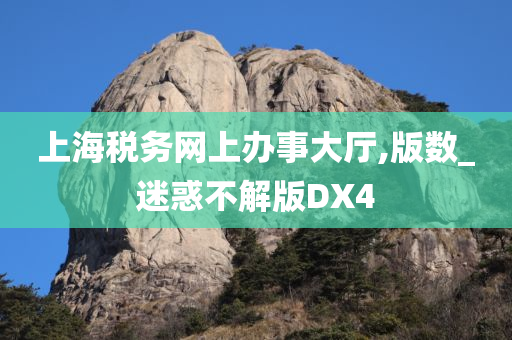 上海税务网上办事大厅,版数_迷惑不解版DX4
