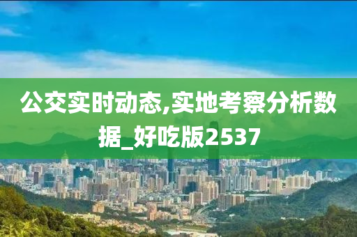 公交实时动态,实地考察分析数据_好吃版2537