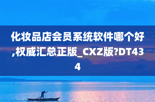 化妆品店会员系统软件哪个好,权威汇总正版_CXZ版?DT434
