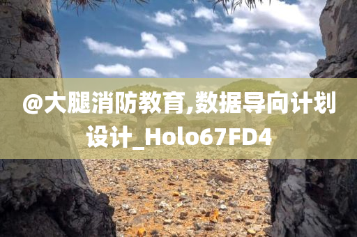 @大腿消防教育,数据导向计划设计_Holo67FD4