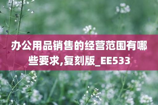 办公用品销售的经营范围有哪些要求,复刻版_EE533