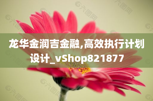 龙华金润吉金融,高效执行计划设计_vShop821877