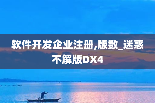 软件开发企业注册,版数_迷惑不解版DX4