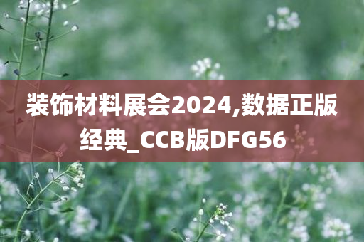 装饰材料展会2024,数据正版经典_CCB版DFG56