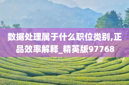 数据处理属于什么职位类别,正品效率解释_精英版97768