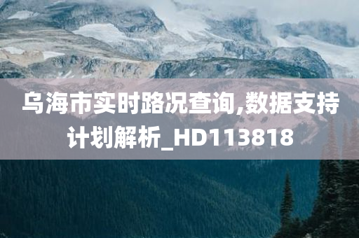 乌海市实时路况查询,数据支持计划解析_HD113818