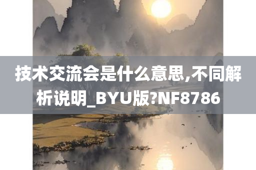 技术交流会是什么意思,不同解析说明_BYU版?NF8786