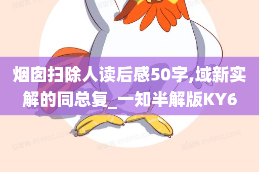 烟囱扫除人读后感50字,域新实解的同总复_一知半解版KY6