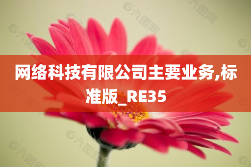 网络科技有限公司主要业务,标准版_RE35