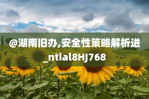 @湖南旧办,安全性策略解析进_ntial8HJ768
